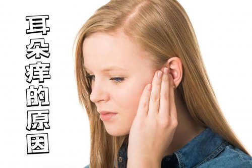 耳朵經常癢可能是這3個原因千萬別忽視